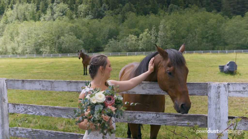 Rein Fire Ranch wedding horse