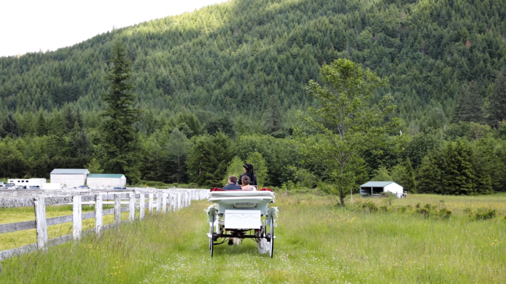Rein Fire Ranch wedding horse drawn carriage ride