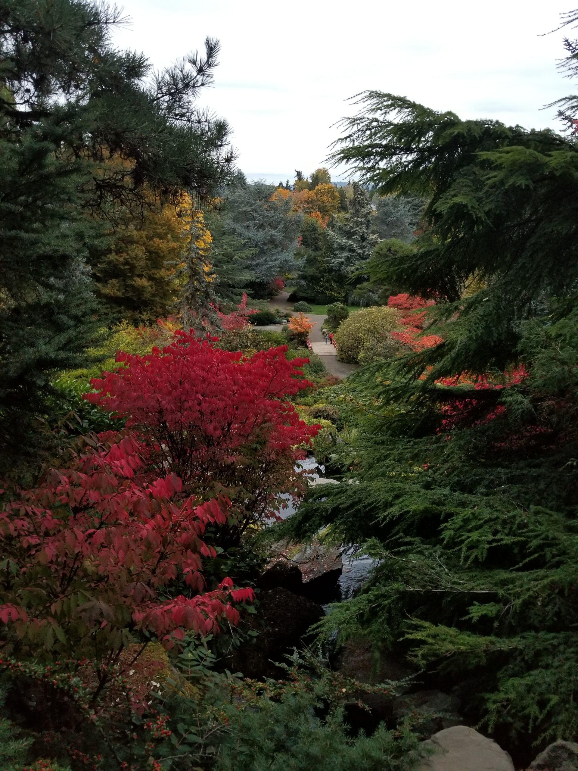 Fall day 2 at Kubota Garden