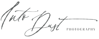 Intodust logo