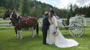 horse drawn wedding